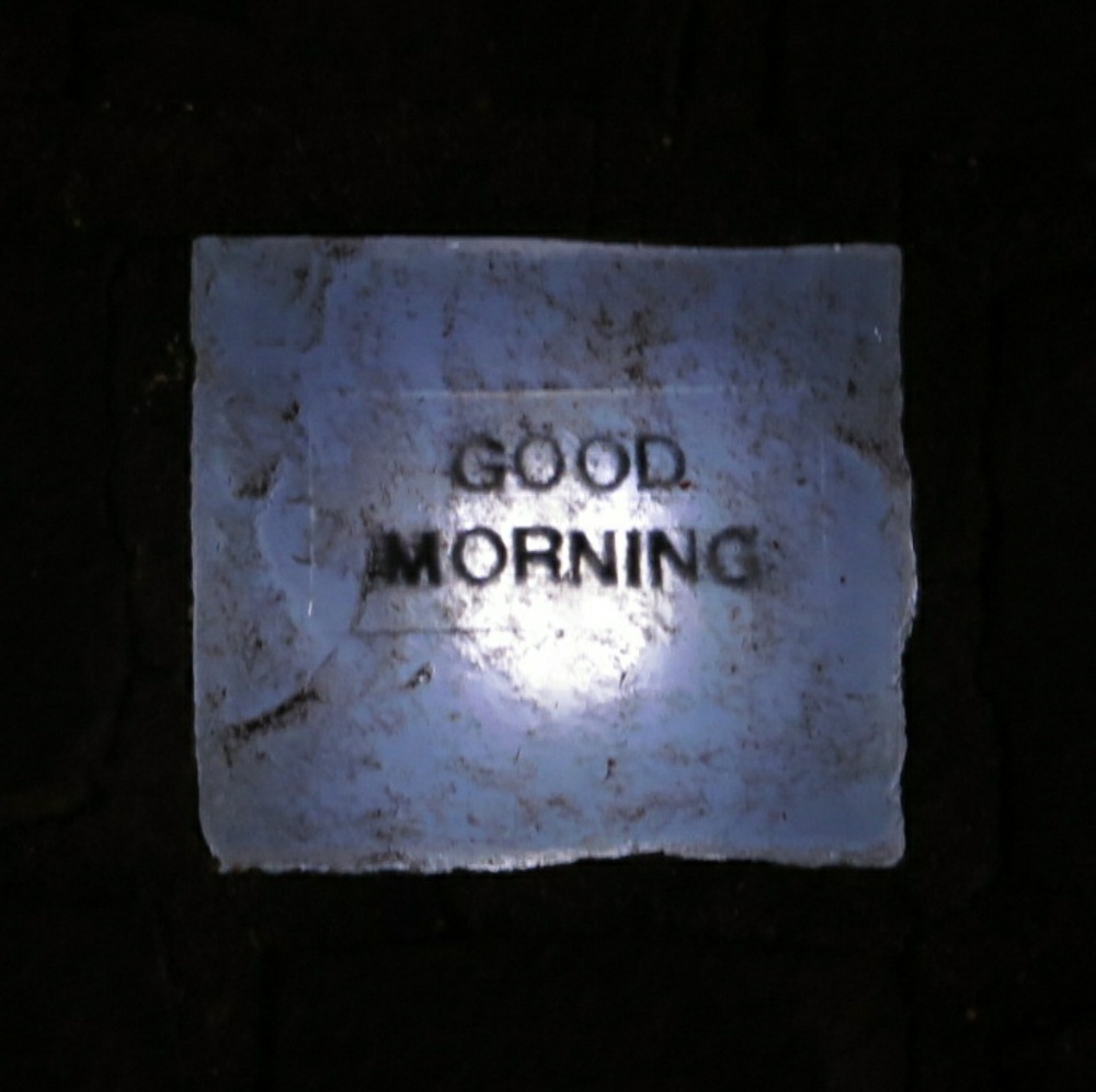 Meet your Posher, Abigail